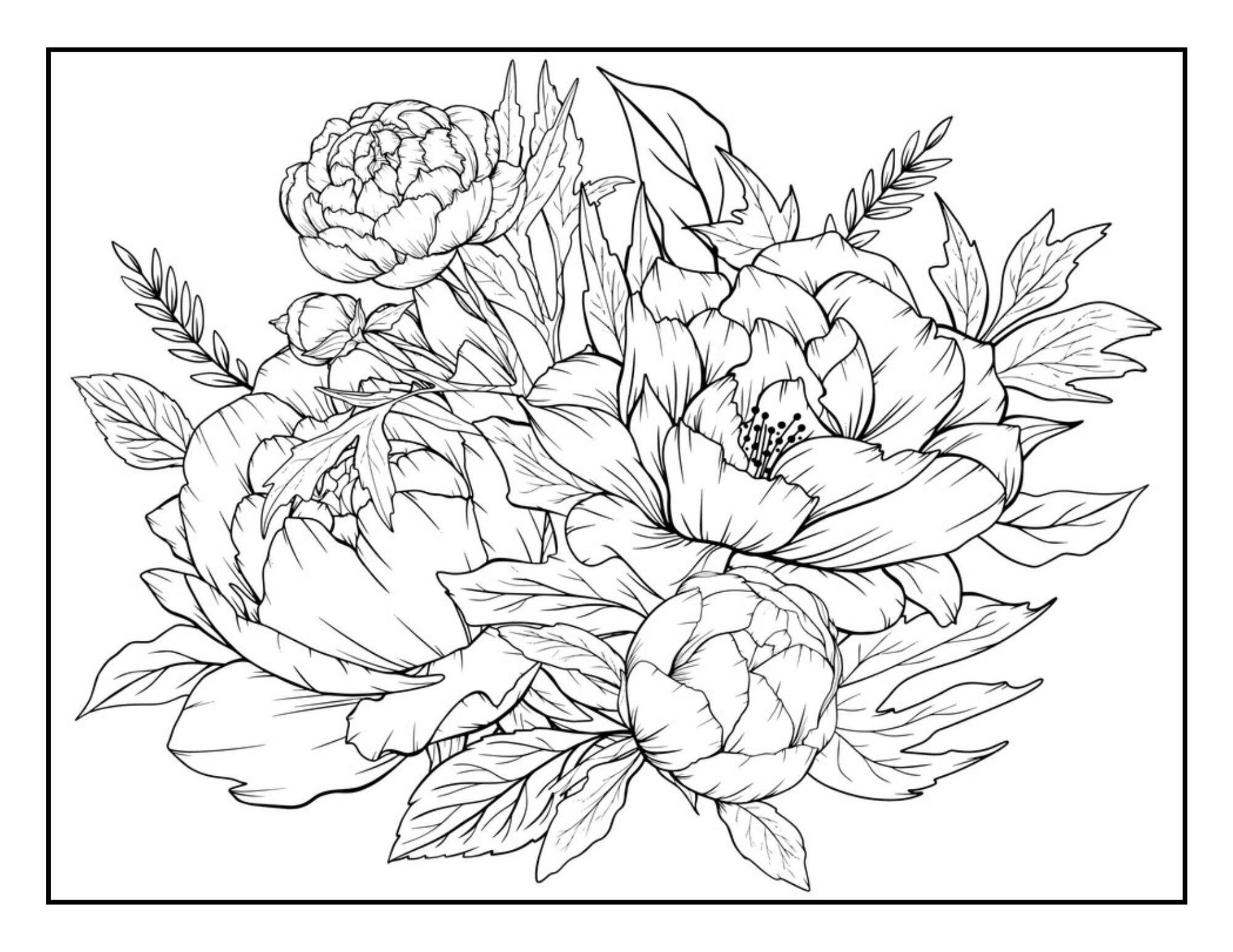 Peonies coloring page.
